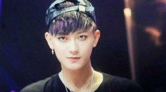 娱乐吃瓜社黄子韬,娱乐圈的“吃瓜”焦点,揭秘他的星途历程